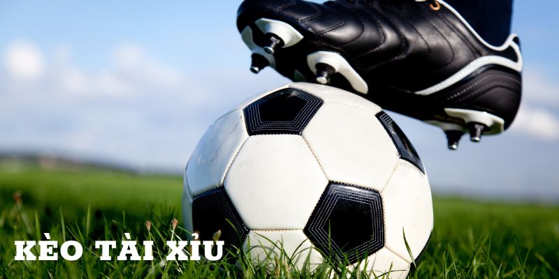 Theo dõi biến động kèo tài xỉu để cược dễ thắng 